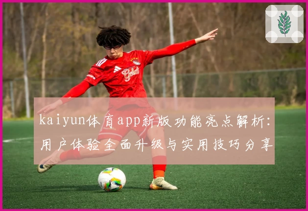 kaiyun体育app新版功能亮点解析：用户体验全面升级与实用技巧分享